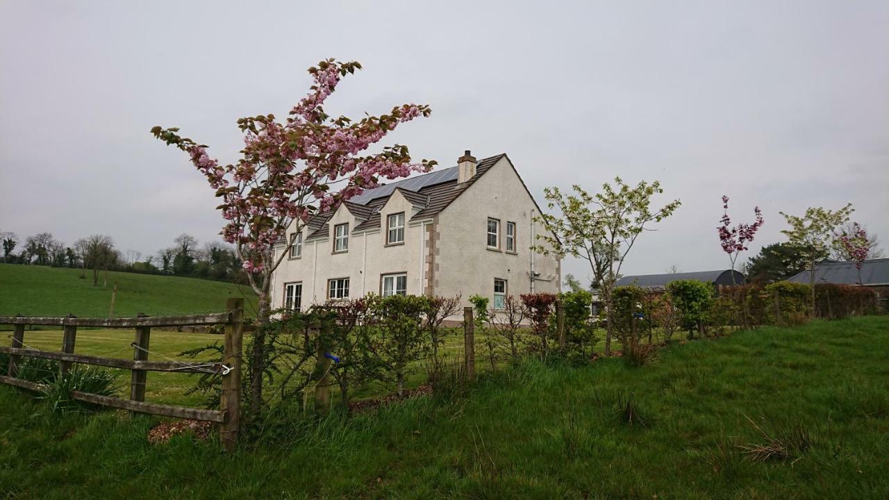 Laraghson House Guest House Enniskillen Eksteriør bilde